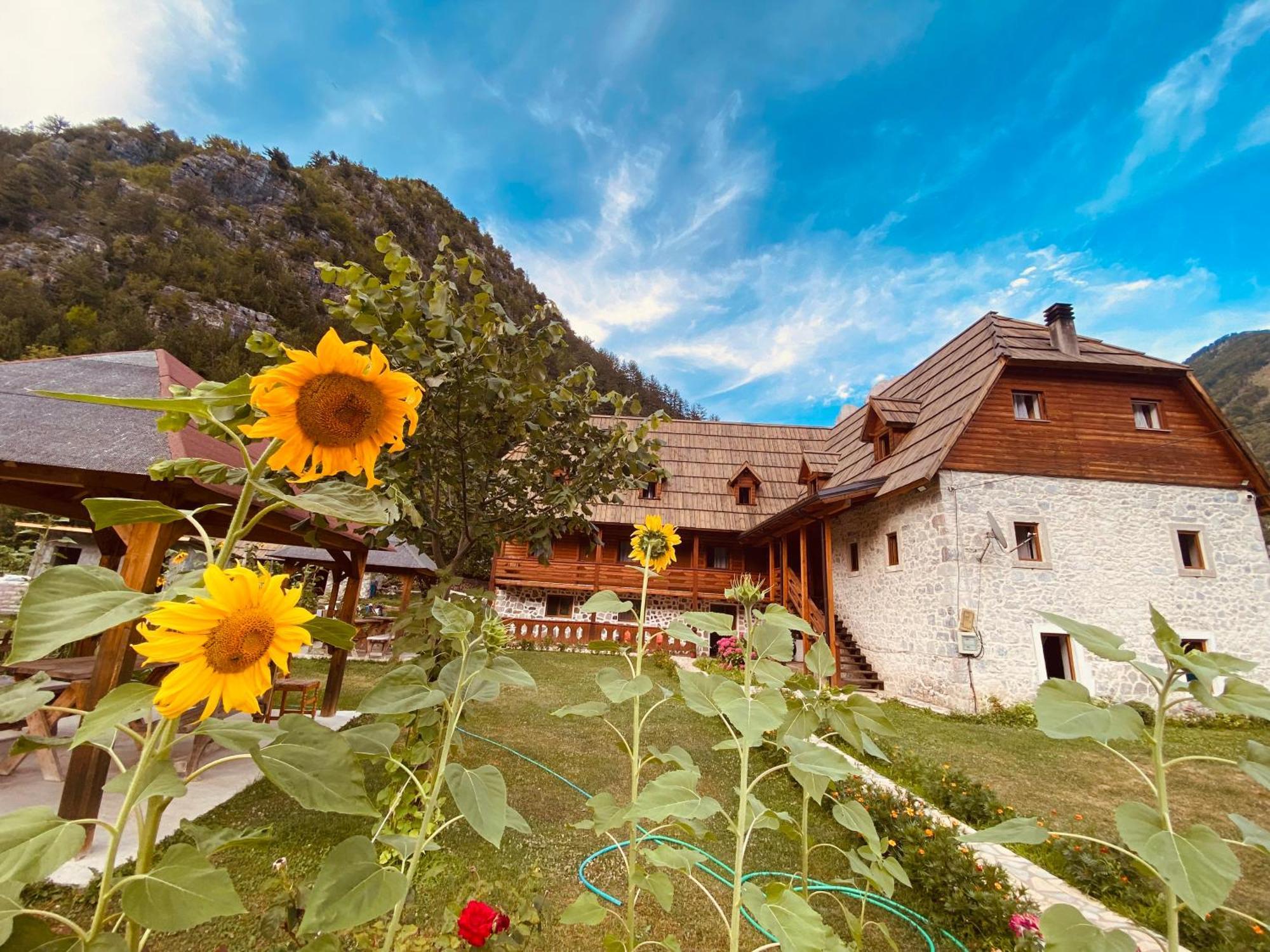 Guesthouse Prrockaj Тети Экстерьер фото