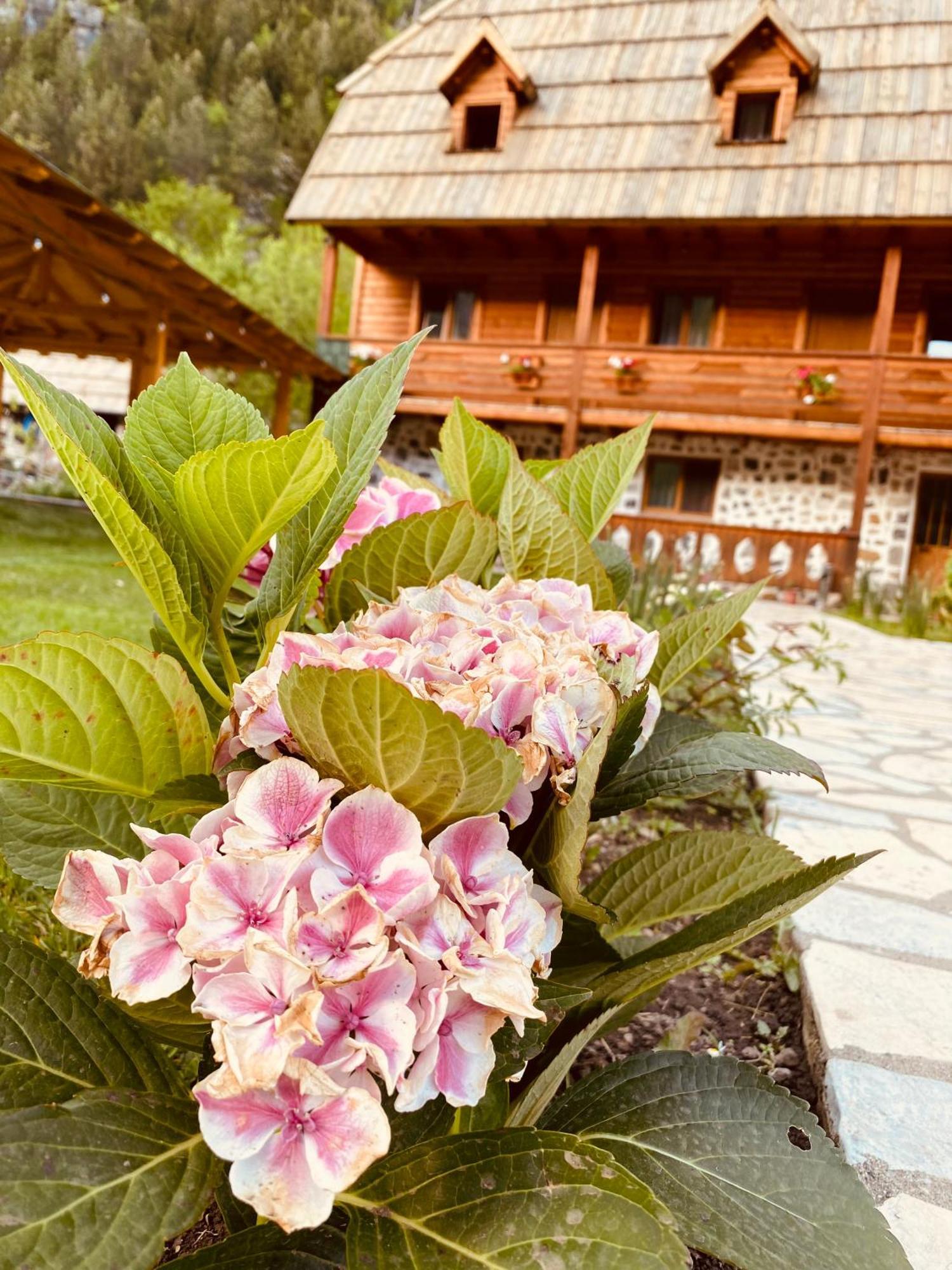 Guesthouse Prrockaj Тети Экстерьер фото