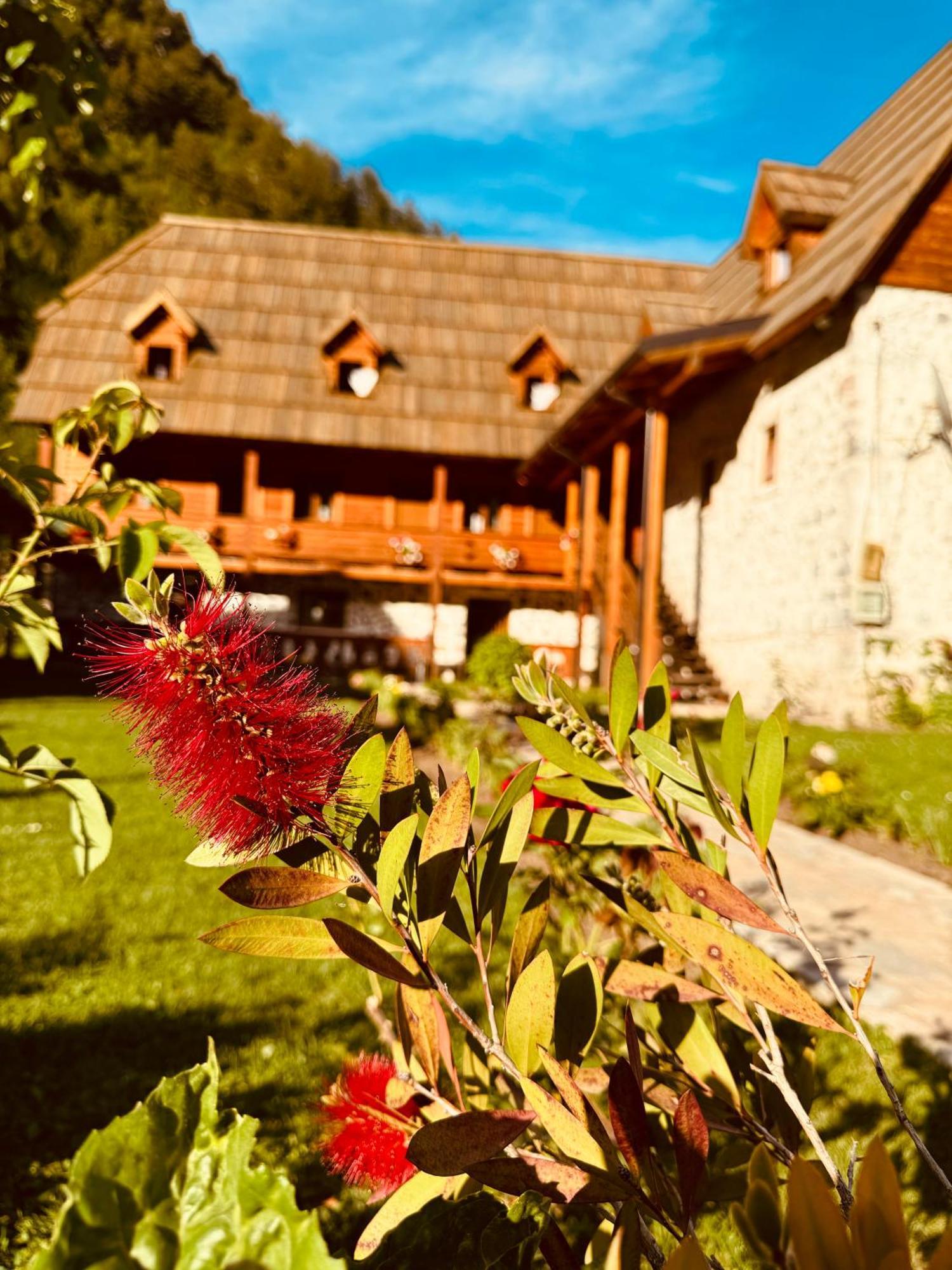 Guesthouse Prrockaj Тети Экстерьер фото