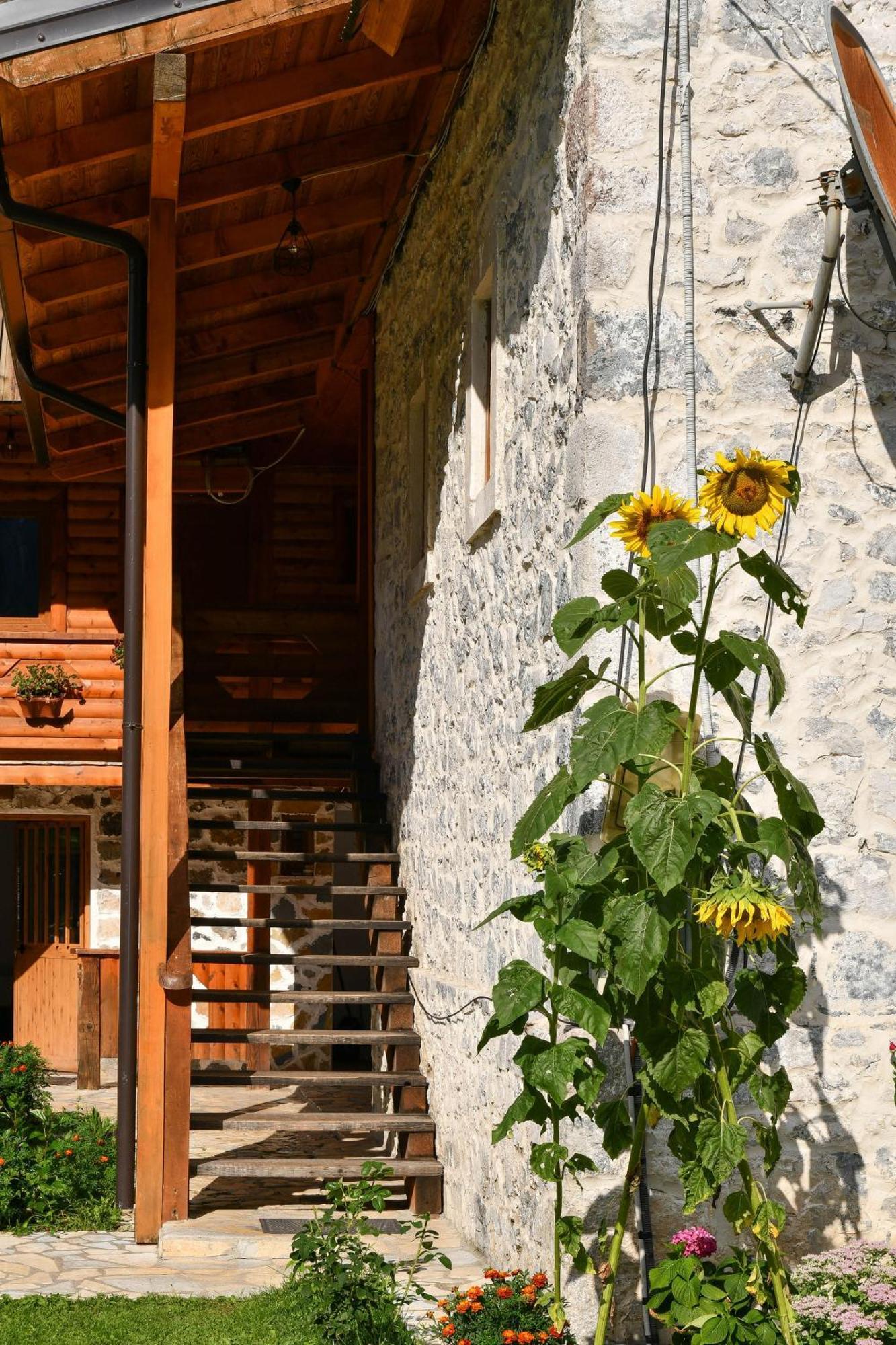 Guesthouse Prrockaj Тети Экстерьер фото